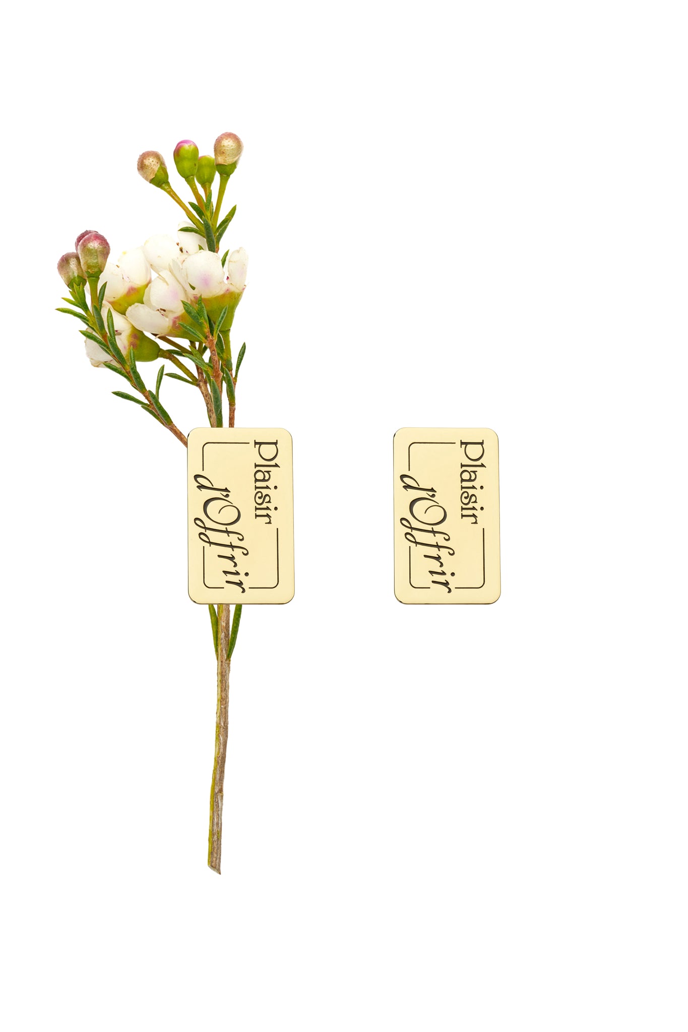 Plaisir d'Offrir Earrings